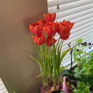 Meet your Posher, Jenny